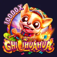 Chilihuahua FaChai