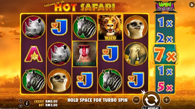 Skrin permainan Hot Safari di Pragmatic Play BolehSpin