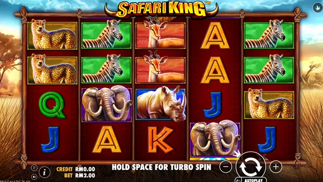 Safari King game screen on Pragmatic Play at BolehSpin
